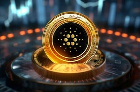 Cardano DeFi gambling: Exploring the decentralized frontier